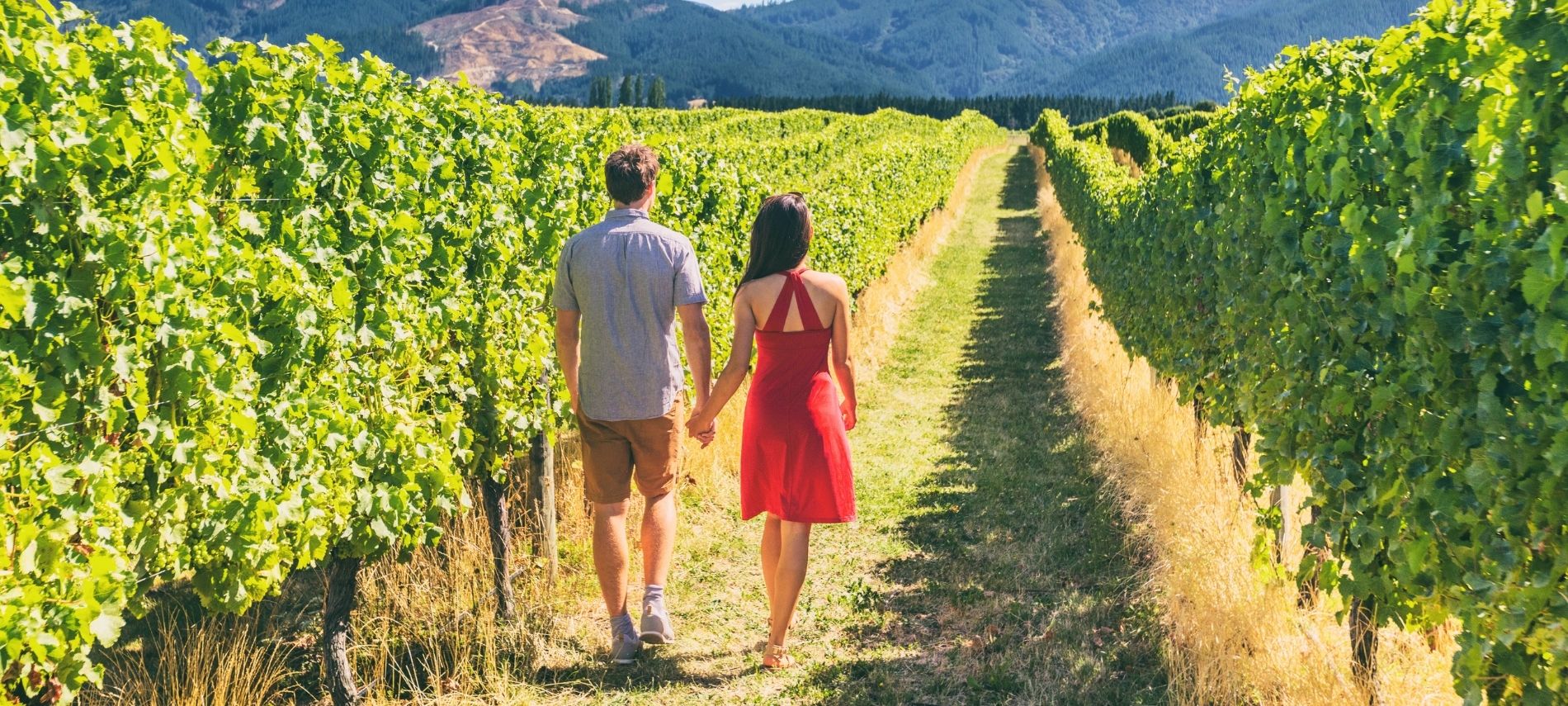 couple holding hands and walking through california vineyard