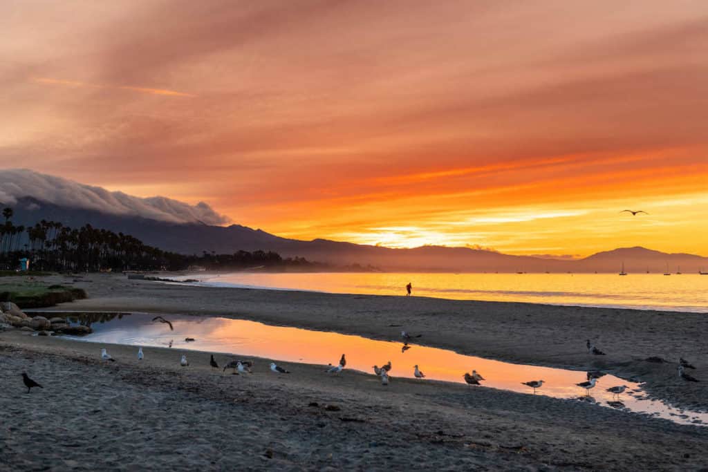 Everything You Want to Know about Santa Barbara’s Stearns Wharf